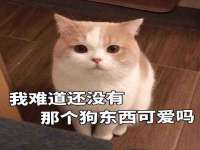 文水县晋达商贸有限公司