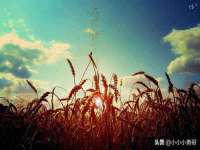 文水县晋达商贸有限公司