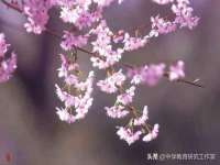 文水县晋达商贸有限公司