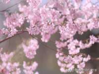 文水县晋达商贸有限公司