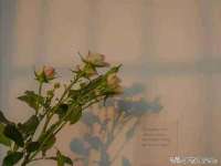 文水县晋达商贸有限公司
