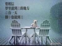 文水县晋达商贸有限公司