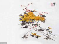 文水县晋达商贸有限公司