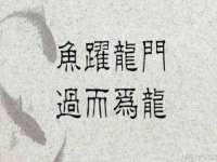 文水县晋达商贸有限公司