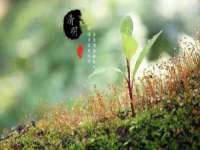 文水县晋达商贸有限公司