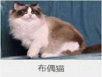 文水县晋达商贸有限公司