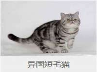 文水县晋达商贸有限公司