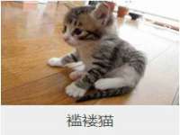 文水县晋达商贸有限公司