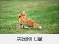 文水县晋达商贸有限公司