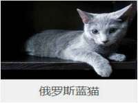 文水县晋达商贸有限公司