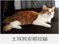 文水县晋达商贸有限公司
