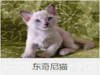 文水县晋达商贸有限公司