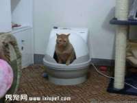 文水县晋达商贸有限公司