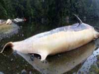 文水县晋达商贸有限公司
