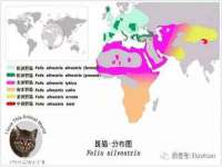 文水县晋达商贸有限公司