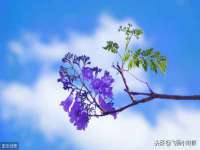 文水县晋达商贸有限公司