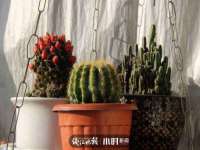 文水县晋达商贸有限公司