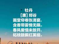 文水县晋达商贸有限公司