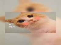 文水县晋达商贸有限公司