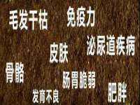 文水县晋达商贸有限公司