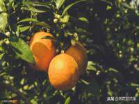文水县晋达商贸有限公司
