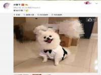 文水县晋达商贸有限公司