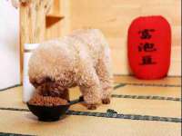 文水县晋达商贸有限公司