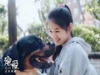 文水县晋达商贸有限公司
