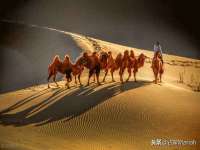 文水县晋达商贸有限公司