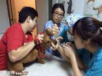 文水县晋达商贸有限公司