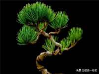 文水县晋达商贸有限公司