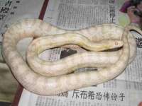 文水县晋达商贸有限公司