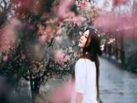 文水县晋达商贸有限公司