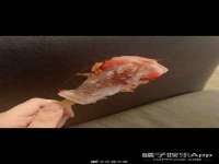 文水县晋达商贸有限公司